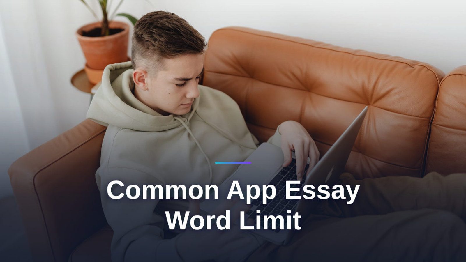 Common App Essay Word Limit: The Complete 2026 Guide for Students and Parents