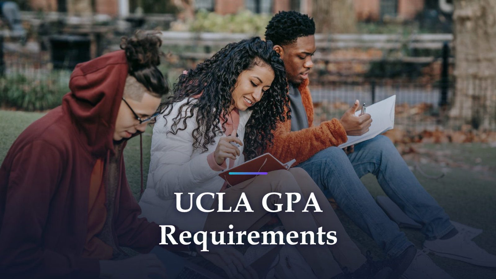 UCLA GPA Requirements: A 4.0 Admit Median, and Which Grades Count